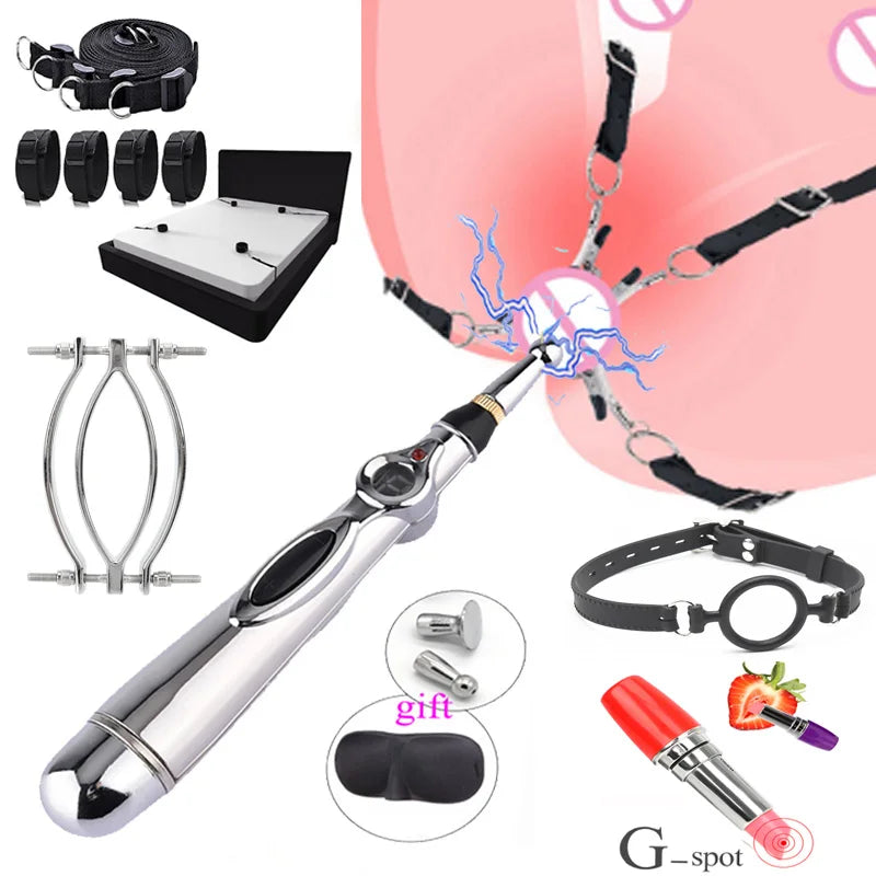 Electric Shock Vagina Pen Labia Clips Nipple Clamp Sex Toys