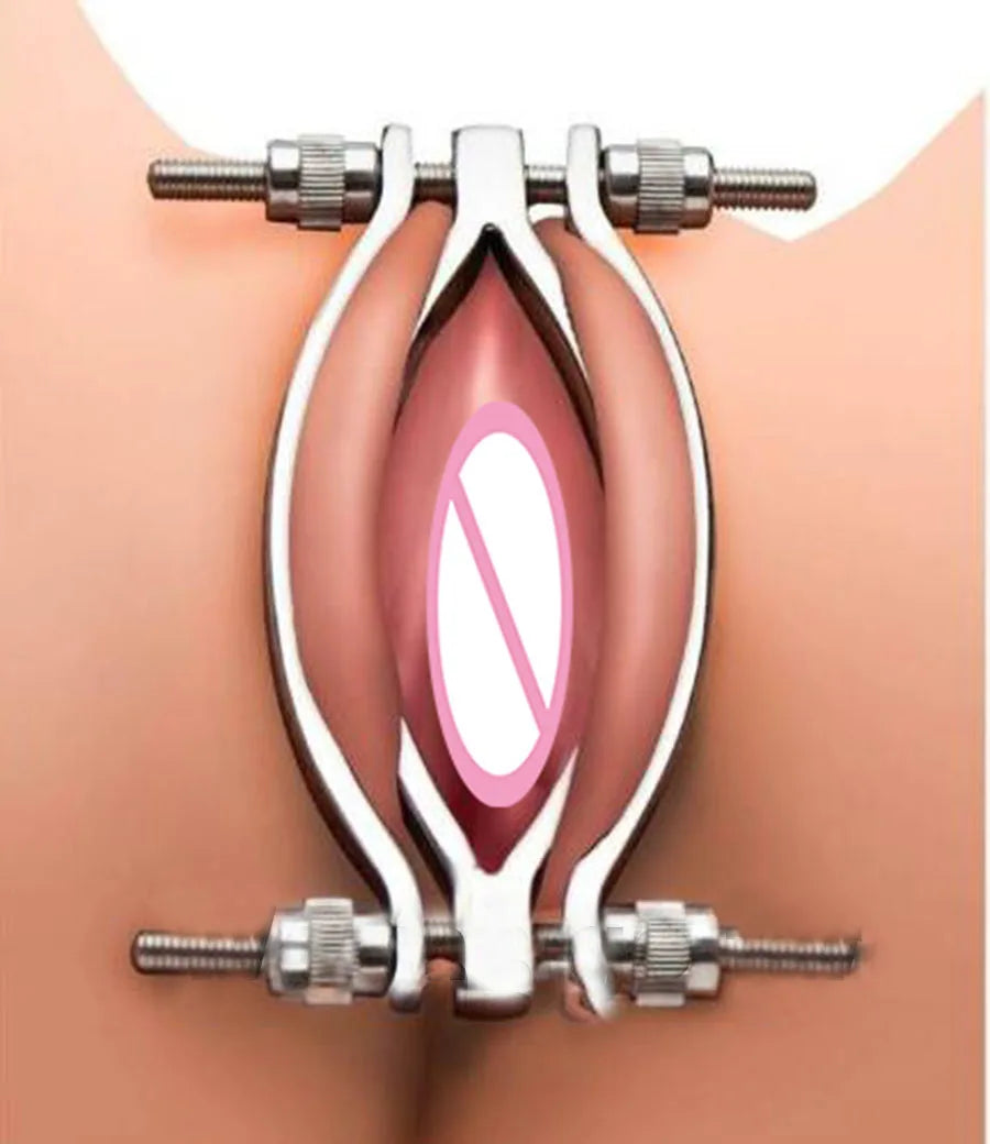 Electric Shock Vagina Pen Labia Clips Nipple Clamp Sex Toys