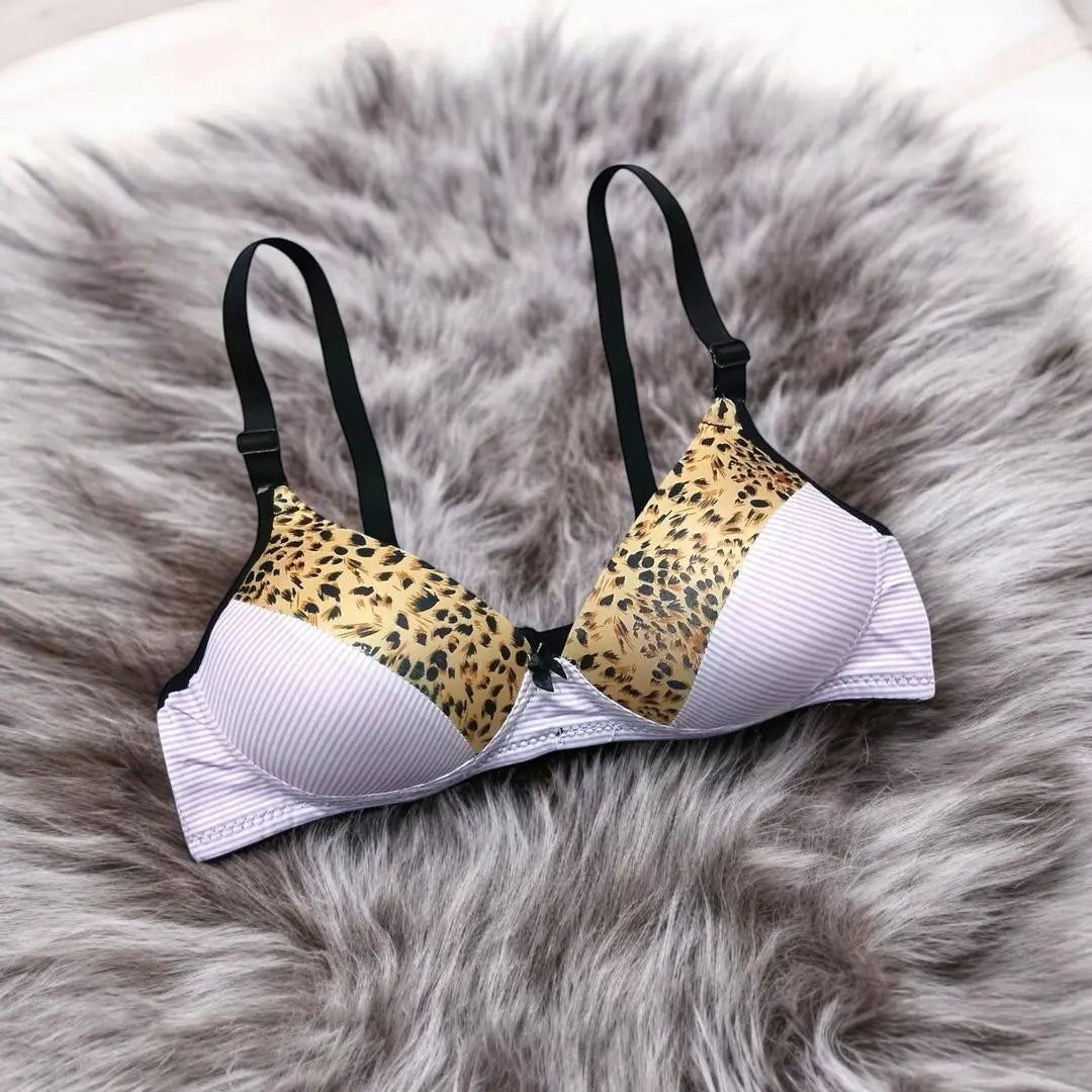 Women Push-Up Padded Bra - Silk Fabric with Wireless Design The Max Mall