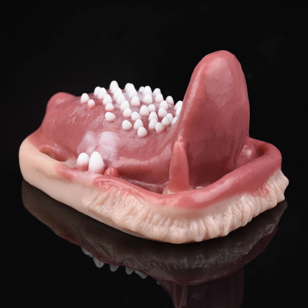 Realistic Vagina Dildos Underwear Pad Anal Clit Massage