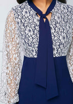 Milk Silk Lace Office Dress The Max Mall