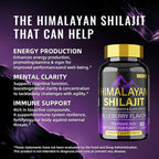 BSYS SHILAJIT GUMMIES 60'S The Max Mall