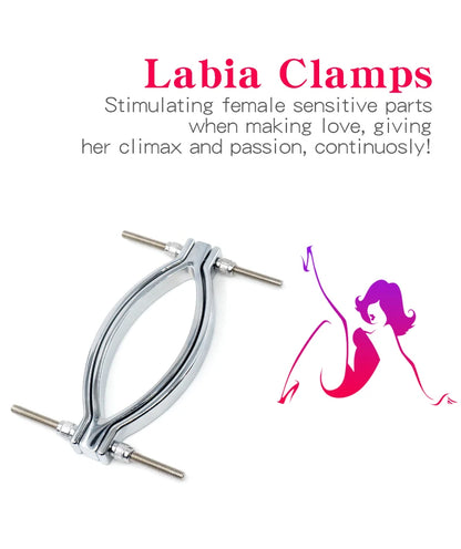 Electric Shock Vagina Pen Labia Clips Nipple Clamp   Sex Toys
