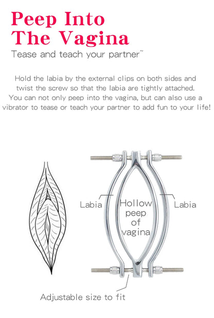 Electric Shock Vagina Pen Labia Clips Nipple Clamp   Sex Toys
