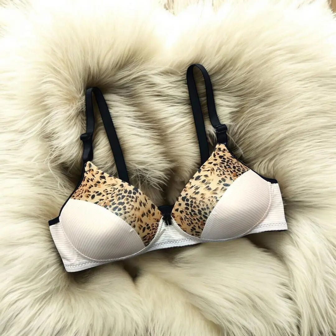 Women Push-Up Padded Bra - Silk Fabric with Wireless Design The Max Mall
