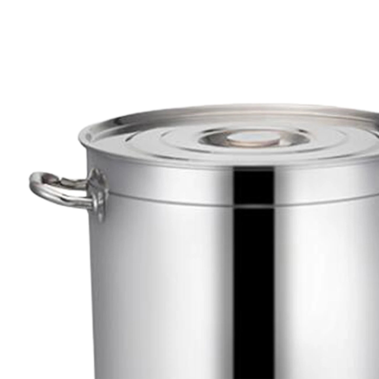 Stainless Steel Stockpot Easy