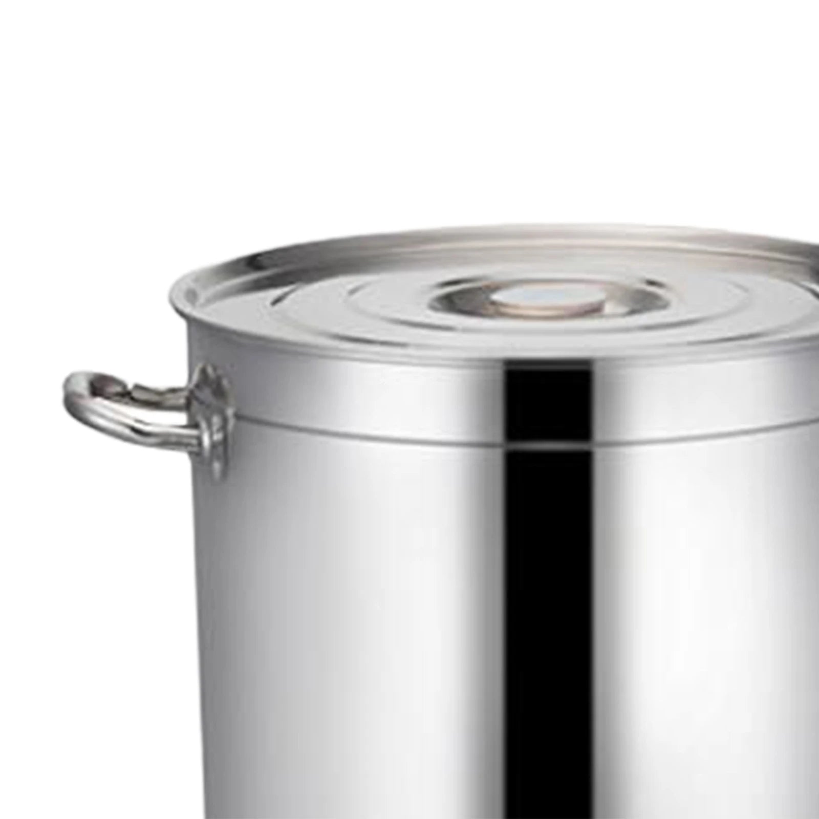 Stainless Steel Stockpot Easy The Max Mall