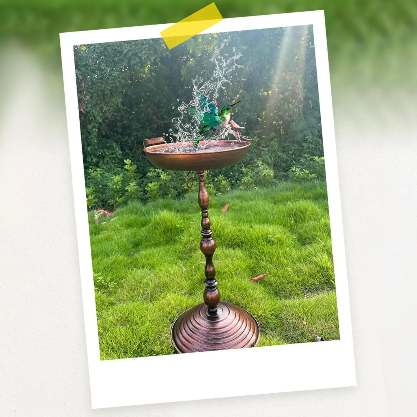 Outdoor Bird Bath - Iron Round Base Garden Feeder