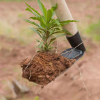 Carbon Steel Small Garden Hoe The Max Mall