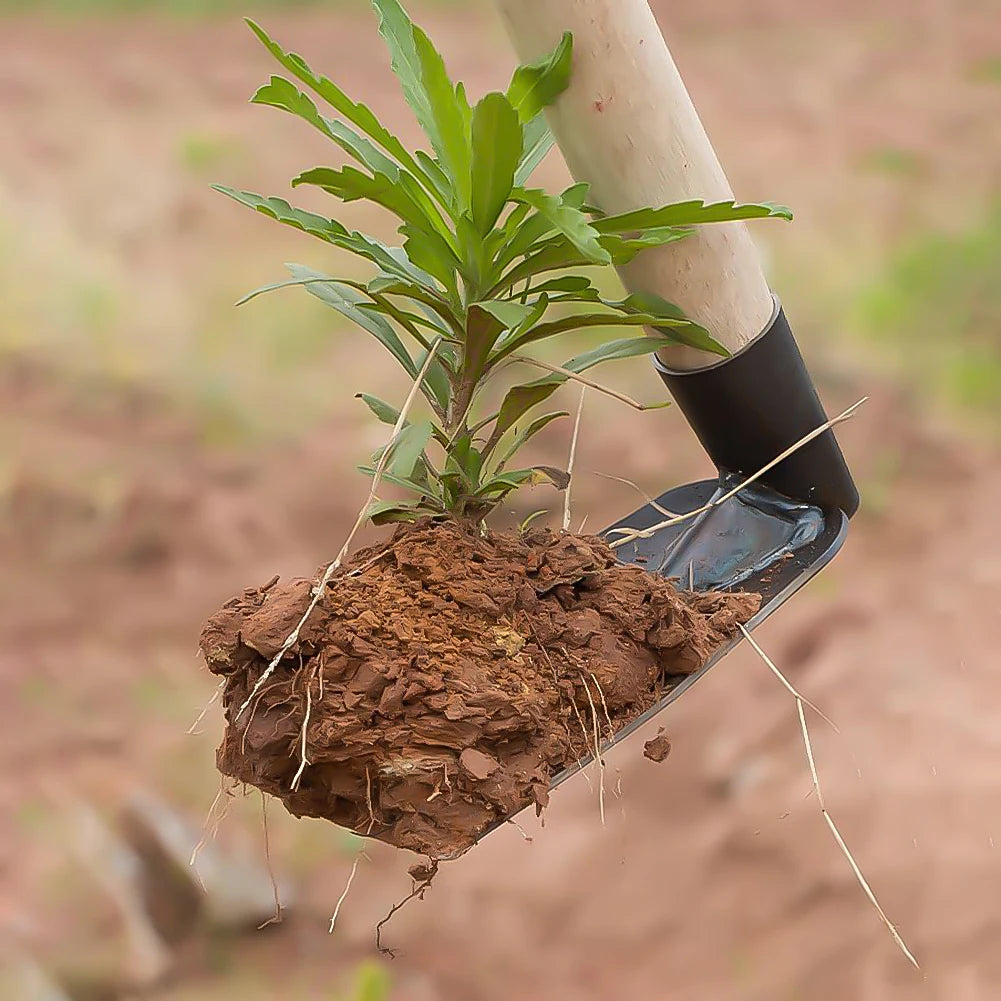 Carbon Steel Small Garden Hoe
