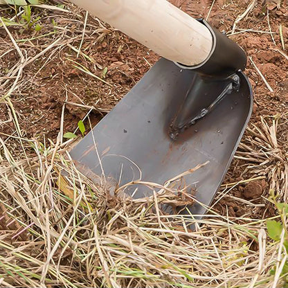 Carbon Steel Small Garden Hoe