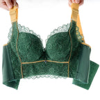 Push Up Padded Wire Free Bra
