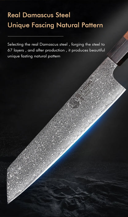 F.YOUNG 8.2" Japanese Kiritsuke Knife - 67-Layer Damascus Steel Professional Chef Knife