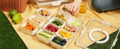 Premium Divided Serving Tray with Secure Lid and Ergonomic Handle