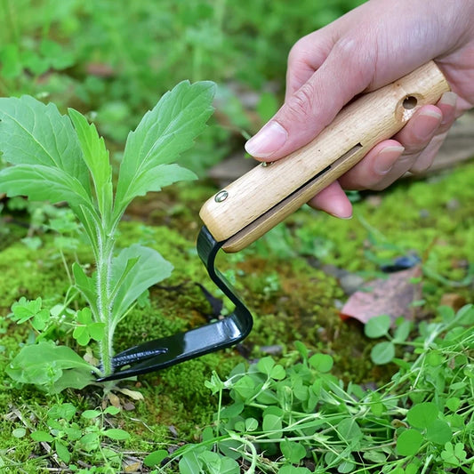Carbon Steel Handheld Weeding Tool