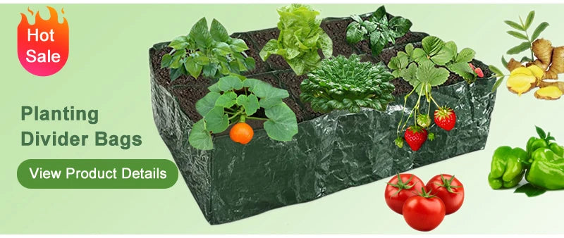 Garden Hoe - Carbon Steel Weed Removal Tool