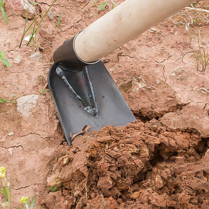 Carbon Steel Small Garden Hoe