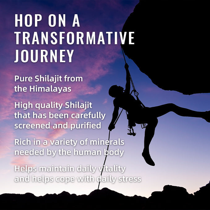 BSYS SHILAJIT GUMMIES 60'S The Max Mall