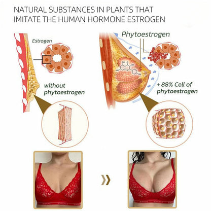 Papaya Supplement 30ml