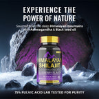 BSYS SHILAJIT GUMMIES 60'S The Max Mall